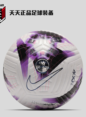 天天正品耐克23/24英超官方比赛用球FLIGHT高端5号足球FB2979-101