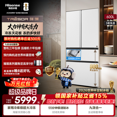 海信璀璨大力神600L制冰法式冰箱