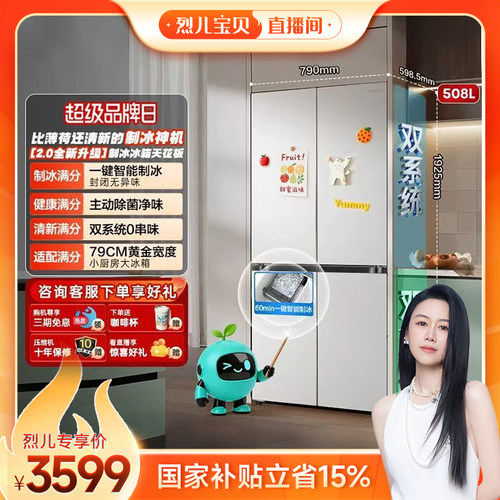 海信大薄荷2.0508十字制冰神机