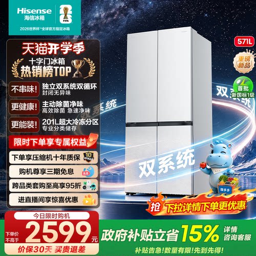 海信囤多多571双系统大容量冰箱