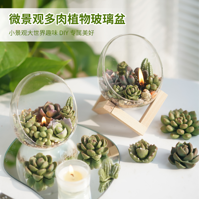半圆玻璃蜡烛台微景观植物花瓶木架玻璃球容器 diy创意桌面生态瓶