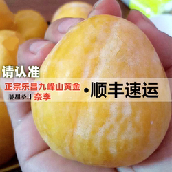 九峰山黄金奈李鲜果特大5-10斤装顺丰冷链新鲜孕妇水果蜂蜜大李子