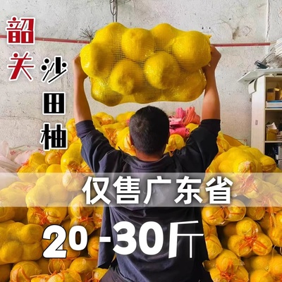【纯甜】韶关坪石沙田柚当季水果