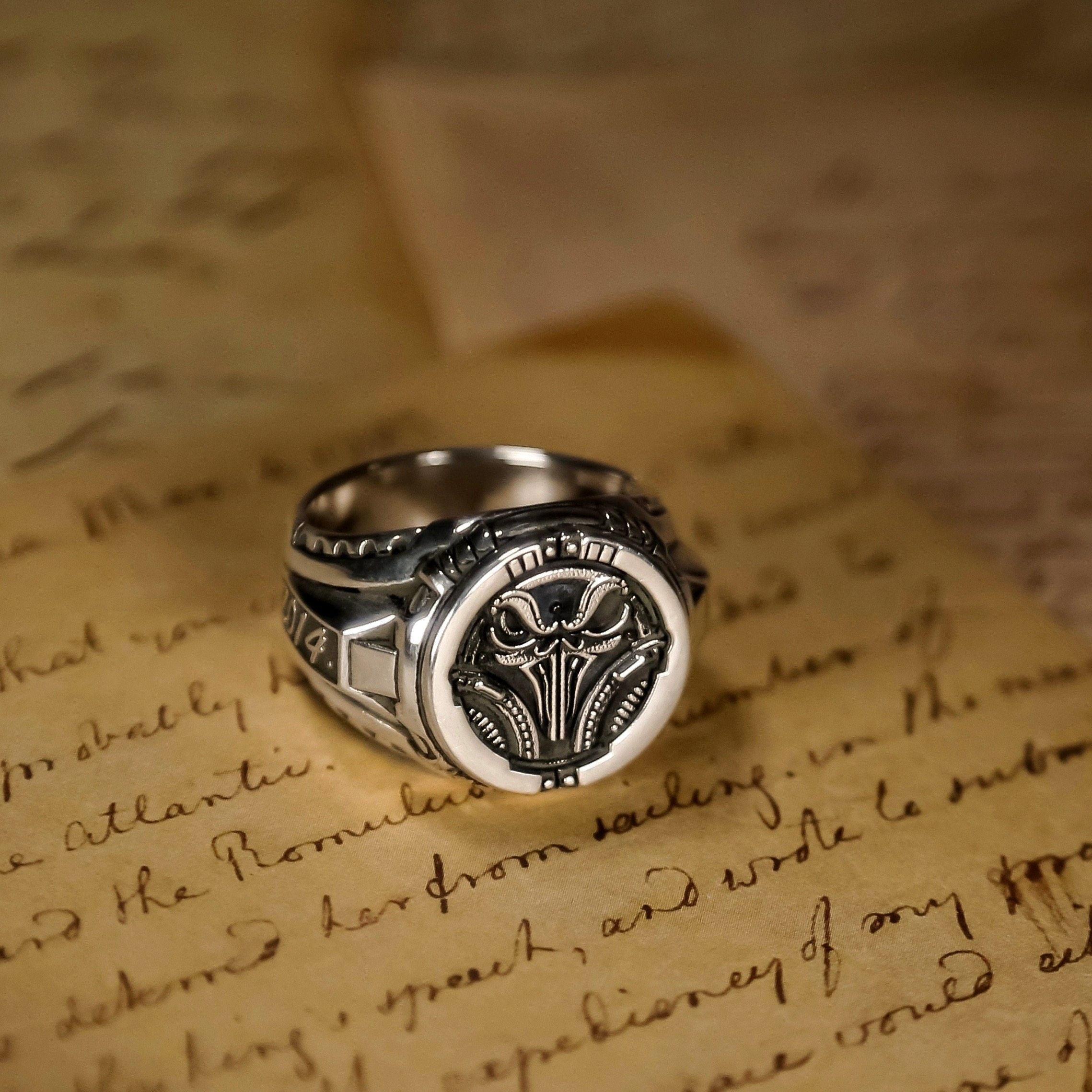 渡鸦原创机械LOGO欧美家族银戒指