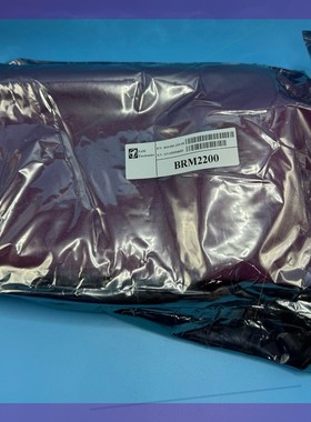 810.001.210 BRM2200 SAM BIM2200模块