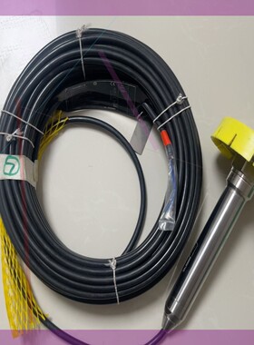 VEGAWELL52液位传感器 型号WL52.XMX4DTD5EC1K