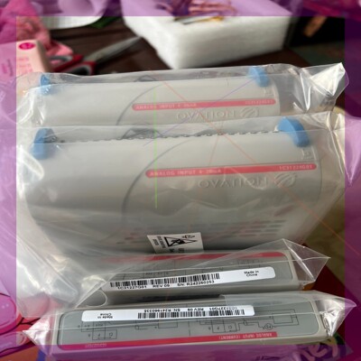 艾/默生卡件 1C31224G01  1C31227G01