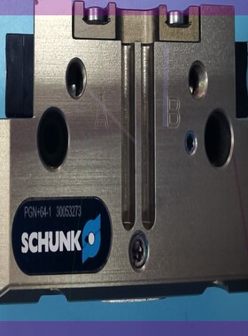 德国雄克,SCHUNK,30053273,pgn+64-1,