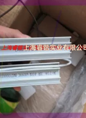 电阻 BWD600047 BWD1000033