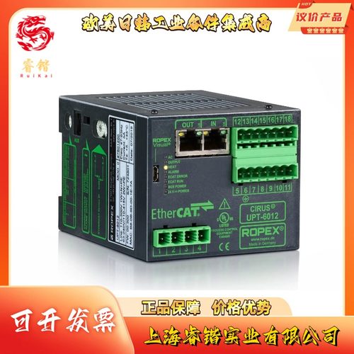 ROPEX诺派克 UPT-6010  高温控制器
