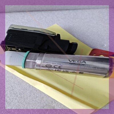 VEGABAR 28压力转换器PP-222MG6