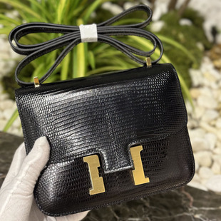 真皮包包女高级感h扣黑色蜥蜴皮康康包百搭单肩斜挎包豆腐包18号