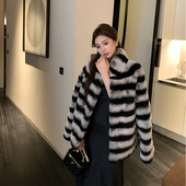 冬季 米贝拉 进口獭兔毛皮草外套女龙猫立领显瘦年轻款 毛毛大衣女