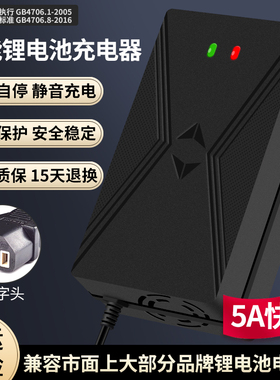 60V铁锂锂电池充电器5A19串69.35伏3A磷酸电瓶8A快充2A专用改装车