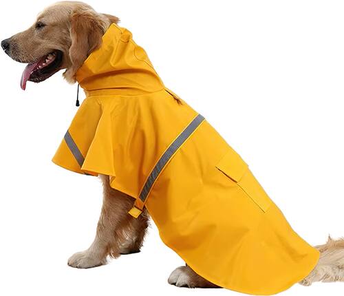 狗狗雨衣中大型犬金毛宠物雨衣