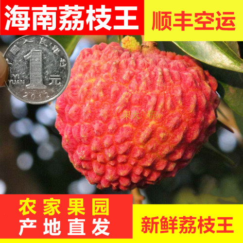 海南荔枝王火山岩新鲜大荔枝当季时令水果荔枝整箱顺丰包邮礼盒5