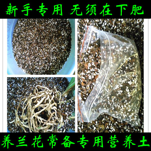 兰花土 自然生态调和种植兰花专用营养土 新手养好有香味兰花植料 - 封面