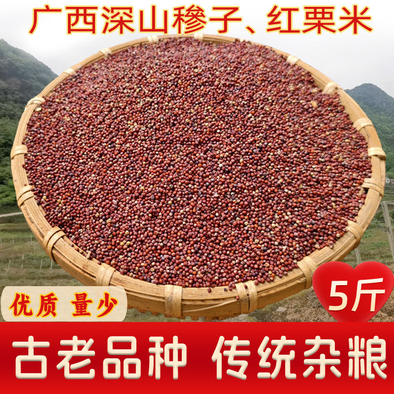 广西特产红粟米糁子龙爪粟鸡爪粟图片