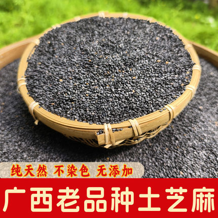 广西老品种黑芝麻生新货饱满农家种植天然优质无染色干净无沙免洗