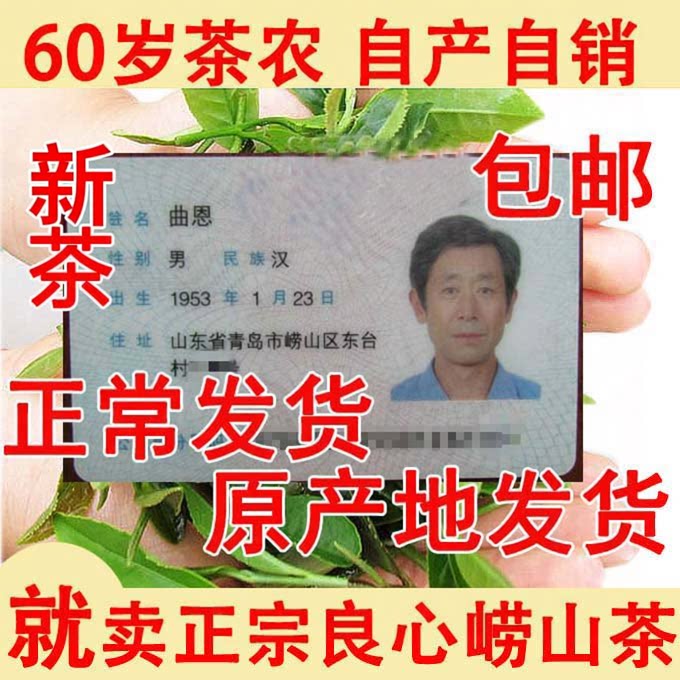 崂山绿茶2026年新茶春茶豆香特色产区绿茶