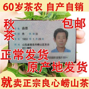 崂山绿茶2025年新茶秋茶豆香浓郁大田崂茶农崂山茶一斤青岛特产级