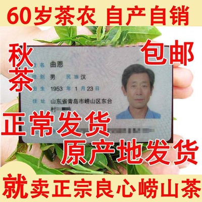 崂山绿茶2025年新茶秋茶豆香浓郁大田崂茶农崂山茶一斤青岛特产级