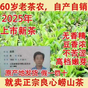 农民自种崂山绿茶2025年新茶春茶豆香浓郁崂茶农大田崂山茶青岛