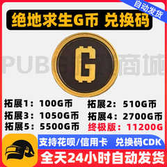 PUBGG币绝地求生G币G-COIN货币游戏币吃鸡点卷充值皮肤CDK兑换码