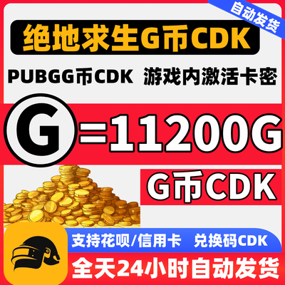 PUBG绝地求生11200G币货币CDK
