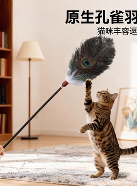 猫咪玩具孔雀羽毛逗猫棒长杆猫咪消耗体力玩具动物原生气味丰容
