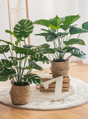 仿真绿植盆景北欧龟背假绿植盆栽客厅ins风装饰品桌面家居小摆件