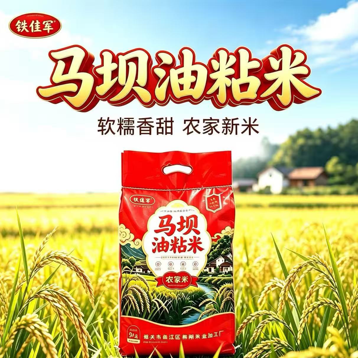 铁佳军马坝油粘米新米10斤粤北特产农家米煲仔饭煲粥米口感软糯米