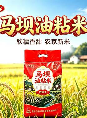 铁佳军马坝油粘米新米10斤粤北特产农家米煲仔饭煲粥米口感软糯米