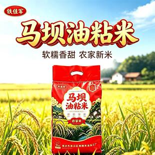 铁佳军马坝油粘米新米10斤粤北特产农家米煲仔饭煲粥米口感软糯米