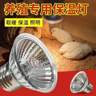 芦丁鸡保温灯小鸡育雏取暖灯宠物冬季加热温控器过冬神器恒温保暖