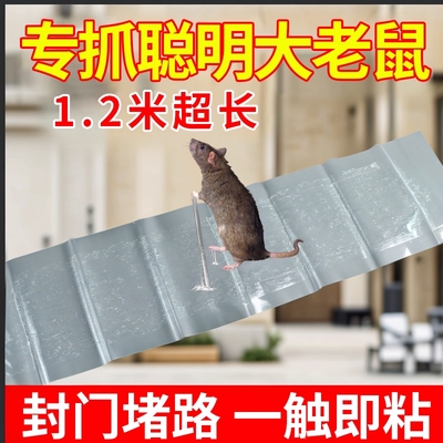 超强力粘鼠板大老鼠贴捕鼠老鼠神器克星透明隐形大号家用灭黏粘鼠