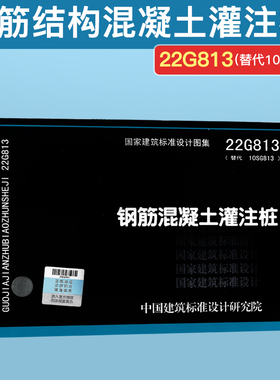 22G813钢筋混凝土灌注桩(代替10SG813)