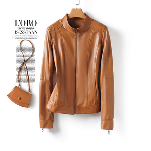 立领拉链百搭绵羊皮外套2025春秋真皮皮夹克小个子 海宁皮衣女短款