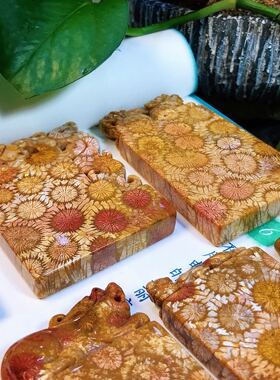 一博天然珊瑚玉老料立体大彩花龙牌貔貅牌461牌子无事牌雕刻件