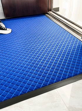 蓝色入户门新款地垫室外入门脚垫门外门口防滑地毯户外门垫高级感