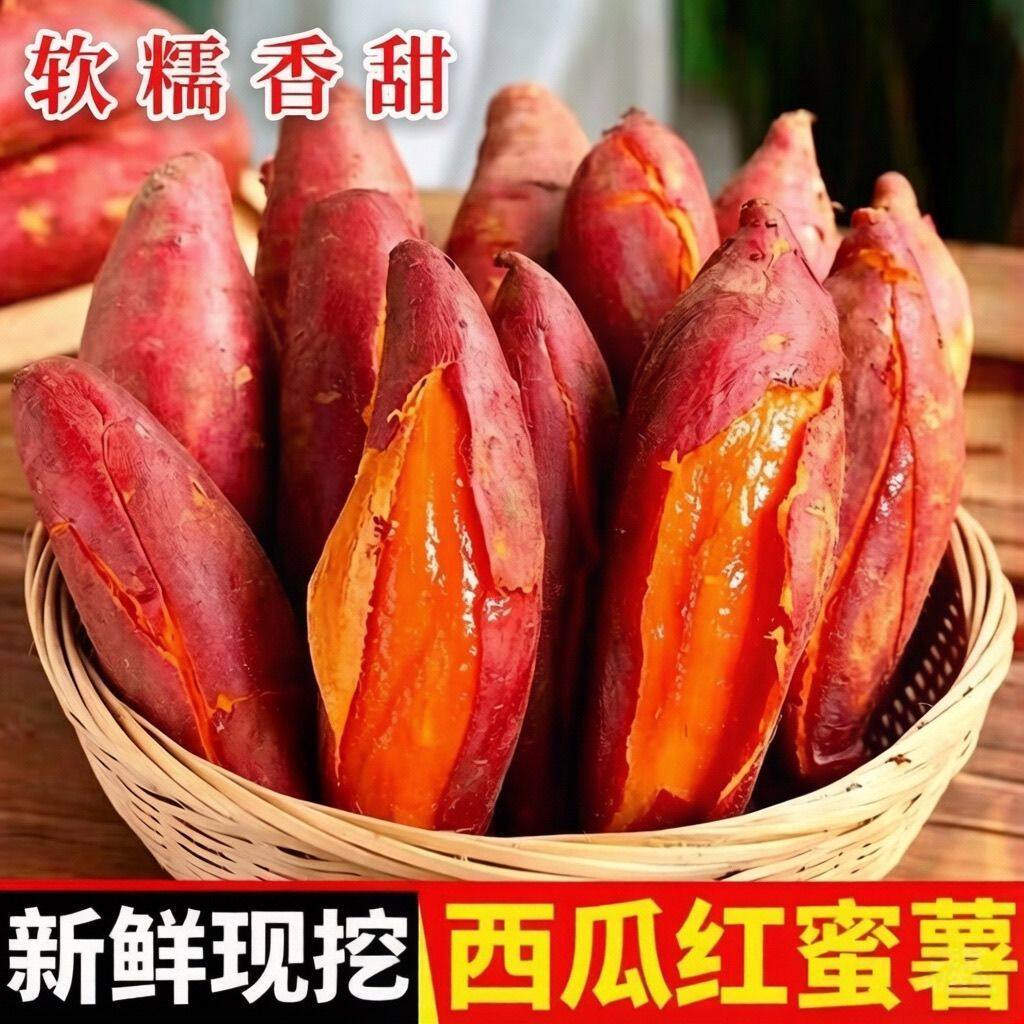 沙地西瓜红蜜薯现挖新鲜糖心红薯烤地瓜农家自种无丝番薯糖水
