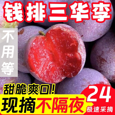 钱排三华李水果正宗红心新鲜李子