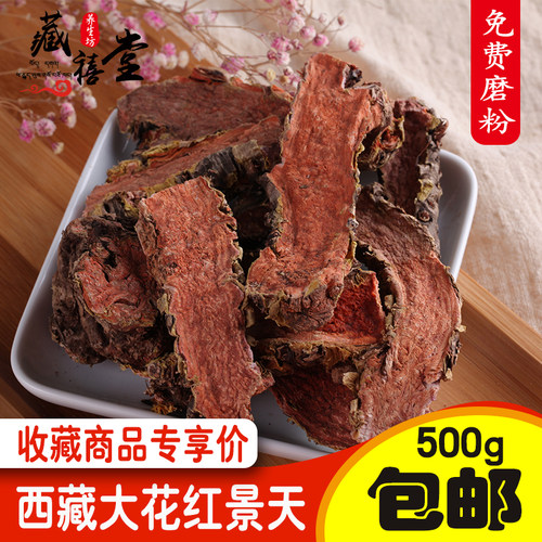 大花红景天野生红景天抗高原反应