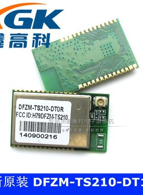 鑫高科-DFZM-TS210-DT10R DFZM-TS210-DT10R 模块 直拍 全新原装