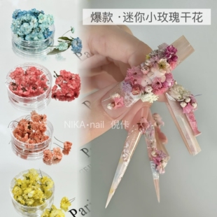 美甲干花混装素材迷你小玫瑰花材料粉色小碎花指甲饰品