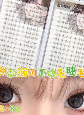 粘胶款自然款猫须下睫毛睫毛书不规则仿睫毛嫁接感漫画感眼睫毛