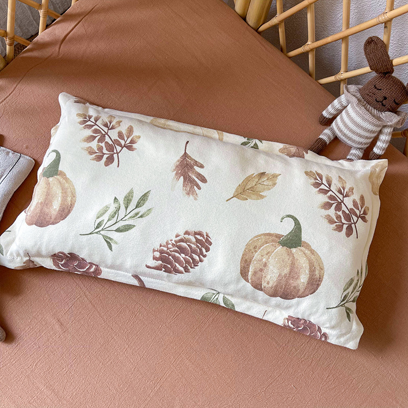 韩国ins枕套儿童婴儿冬纯棉50*30纯棉a类大尺寸1-3岁幼儿园枕头