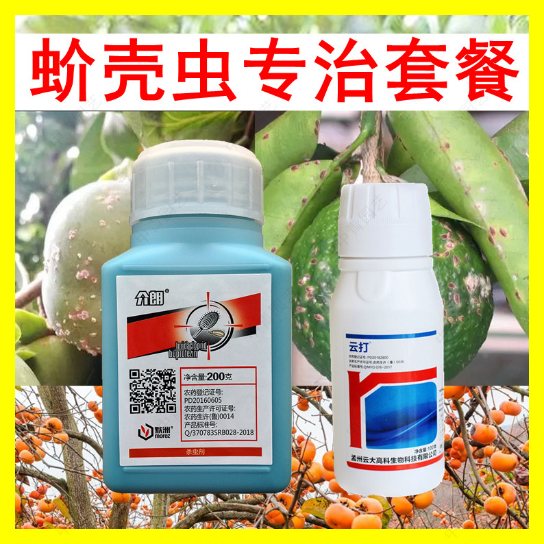 蚧壳虫除虫套餐专用打虫药