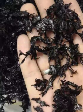 福建霞浦高档馄饨头水500g紫菜汤