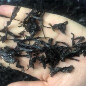 小吴新福建霞浦碎紫菜干货无沙紫菜汤食堂馄饨肉片用500g 包邮 直供